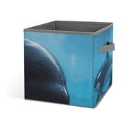 DWTJKMS Killer Whale Cubo Organizzatore Contenitori Pieghevole in Tessuto Spesso, Coperte, Vestiti, Scatola di Immagazzinaggio Adatto per Casa Ufficio Guardaroba Abbigliamento Giocattoli Organizer