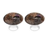 DWTJKMS Lion Sticks Out Lingua Armadietto Maniglie Colorate Cabinet Maniglie Solide Cassetto Adatto per Comò Mobili Da Cucina Porte Armadio Cassetti