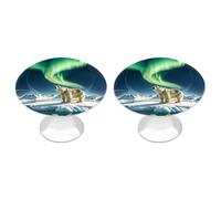 DWTJKMS Northern Lights Polar Bear Maniglie per armadietti Pomelli colorati Maniglie per cassetti Solide Maniglie per cassetti adatte per comò mobili da cucina porte armadio cassetti
