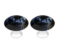 DWTJKMS Panther con occhi azzurri Maniglie per armadietti Pomelli colorati Maniglie per cassetti Solide Maniglie per cassetti adatte per comò mobili da cucina porte armadio cassetti
