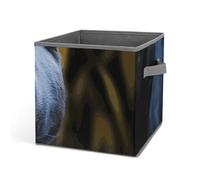 DWTJKMS Panther With Blue Eyes Cube Organizer Storage Bins Pieghevole Tessuto Spesso, Coperte, Vestiti, Scatola di Immagazzinaggio Adatto per Casa Ufficio Guardaroba Abbigliamento Giocattoli Organizer