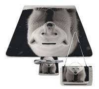DWTJKMS Polar Bear, tappetino da picnic pieghevole, impermeabile, con borsa per la spesa, grande tappetino da picnic all'aperto, 147,3 x 147,3 cm, coperta da campeggio per spiaggia, parco, viaggi