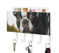 DWTJKMS Portachiavi da parete con cucciolo di cane Boston Terrier, supporto da parete in stile fattoria con 5 ganci, portachiavi da appendere per ingresso o atrio, 18 cm di larghezza x 4,3 cm di
