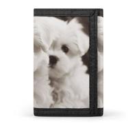 DWTJKMS Portafoglio minimalista con cucciolo di maltese carino portafoglio da uomo sottile a tre ante portafogli alla moda moderno portafoglio antifurto per carte e contanti