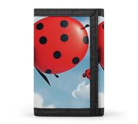 DWTJKMS Portafoglio minimalista da uomo con coccinella e nuvola, sottile, a tre pieghe, alla moda, moderno, antifurto, può contenere carte e contanti