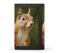 DWTJKMS Portafoglio minimalista da uomo con scoiattolo, sottile, a tre pieghe, alla moda, moderno, antifurto, può contenere carte e contanti