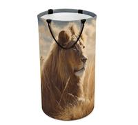 DWTJKMS Prairie Lion Cesto portabiancheria pieghevole, con manici per il trasporto, grande cesto portaoggetti per lavanderia, dormitorio, famiglia