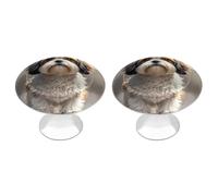 DWTJKMS Shih Tzu Maniglie per armadietti a forma di cane Pomelli colorati per armadietti maniglie per cassetti solide adatte per comò, mobili da cucina, porte, armadi e cassetti