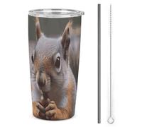 DWTJKMS Simpatiche tazze per auto con scoiattolo con cannuccia isolate in acciaio inox, a prova di perdite, tazze da caffè in metallo con coperchio, bottiglie d'acqua di grande capacità, regalo per