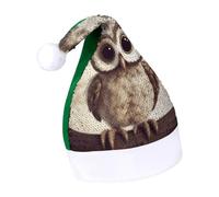 DWTJKMS Simpatico gufo cappello di Babbo Natale classico pelliccia cappello di Natale addensare cappello di Natale con paillettes divertente vacanza invernale Cap