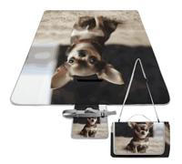 DWTJKMS Simpatico tappetino da picnic a forma di chihuahua, pieghevole, impermeabile, con borsa per tote, grande tappetino da picnic all'aperto, 147,3 x 147,3 cm, coperta da campeggio per spiaggia