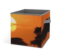 DWTJKMS Sunset African Savanna Cube Organizer Storage Bin Pieghevole Tessuto Spesso, Coperte, Vestiti, Scatola di Immagazzinaggio Adatto per Casa Ufficio Guardaroba Abbigliamento Giocattolo