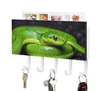 DWTJKMS The Green Snake Portachiavi da parete, stile fattoria, montaggio a parete con 5 ganci, decorazione da parete per ingresso o atrio, 18 cm di larghezza x 4,3 cm di altezza