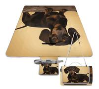 DWTJKMS Un simpatico tappetino da picnic a forma di bassotto, pieghevole, impermeabile, con borsa tote grande, tappetino da picnic all'aperto, 147,3 x 147,3 cm, coperta da campeggio per spiaggia