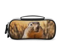 DWVSFJM Astuccio per matite in pelle PU Borsa per trucco portatile impermeabile con cerniera a mano disegnato a mano sacchetto di matita per forniture per ufficio borsa per trucco