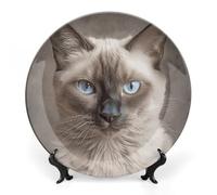 DWVSFJM Bellissimo gatto siamese stampa Bone China piatto decorativo con espositore piatto decorativo in ceramica piatto rotondo in porcellana piatto da pranzo arte artigianato per decorazione da