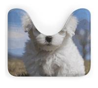 DWVSFJM Bichon - Tappeto da bagno a forma di U con cane frisé, 40,6 x 50,8 cm, assorbente, ad asciugatura rapida, antiscivolo, facile da pulire, per vasca da bagno e lavandino