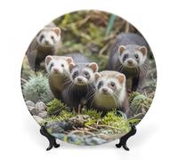 DWVSFJM Furetti Stampa Bone China Piatto Decorativo Con Espositore Piatto Decorativo In Ceramica Porcellana Rotondo Piatto da Cena Artigianato Artigianato Per Decorazione Da Parete Da Appendere