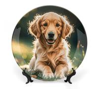 DWVSFJM Golden Retrievers Stampa Bone China Piatto Decorativo Con Espositore Piatto Decorativo In Ceramica Porcellana Piatto Rotondo Cena Artigianato Artigianato Per Decorazione Appeso A Parete 8