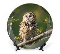 DWVSFJM Piatto decorativo in porcellana con stampa di rami di albero di gufo con espositore piatto decorativo in ceramica piatto rotondo in porcellana piatto da pranzo artigianato artistico per