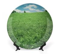 DWVSFJM Piatto decorativo in porcellana ossea con stampa verde prato con espositore piatto decorativo in ceramica piatto rotondo in porcellana piatto da pranzo artigianato artistico per decorazione da