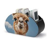 DWVSFJM - Scatola portaoggetti in pelle PU per telecomando, con 5 scomparti, per soggiorno, camera da letto, ufficio