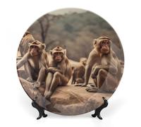 DWVSFJM Scimmia seduta su pietra stampa bone china piatto decorativo con espositore piatto decorativo in ceramica piatto rotondo porcellana cena piatto arte artigianato per decorazione da appendere