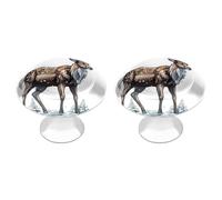 DWVSFJM Set di 2 pomelli dipinti a mano per armadietti da cucina, cassetti e armadietti, in acciaio inox, maniglie rotonde moderne per cassettiera, con stampa carina, manopole per guardaroba