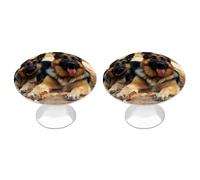 DWVSFJM Set di 2 pomelli per armadietti a forma di pastore tedesco, per cassetti della cucina, in acciaio inox, maniglie rotonde moderne per cassettiera, con stampa carina, manopole per guardaroba