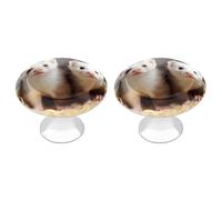 DWVSFJM Set di 2 pomelli per armadietti da cucina, cassetti, armadietti, in acciaio inox, moderni, per comò e maniglie rotonde, con stampa carina, manopole per guardaroba