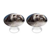 DWVSFJM Shih Tzu - Set di 2 pomelli per armadietti da cucina, cassetti, armadietti, in acciaio inox, moderni, maniglie rotonde per comò con stampa carina