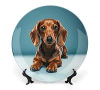 DWVSFJM Simpatico bassotto con stampa di cani Bone China Piatto decorativo con espositore Piatto decorativo in ceramica Piatto rotondo in porcellana Piatto da pranzo Artigianato per decorazione da