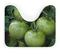 DWVSFJM Tappeto da bagno a forma di U con immagine di pomodori verdi, 40,6 x 50,8 cm, assorbente, ad asciugatura rapida, antiscivolo, facile da pulire, per vasca da bagno e lavandino