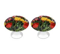 DWVSFJM Tulip - Set di 2 pomelli per armadietti da giardino, per cassetti da cucina, in acciaio inox, moderni, maniglie rotonde per cassettiera, con stampa carina