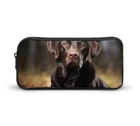 DWVTFSM Astuccio portapenne con labrador retriever, grande capacità, grazioso astuccio per trucchi e cosmetici, per donne e uomini