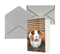 DWVTFSM Biglietto di ringraziamento con buste, biglietti di auguri per tutte le occasioni, buon compleanno, matrimonio, pensiero, porcellini d'India, biglietti vuoti 10 x 15 cm