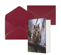 DWVTFSM Biglietto di ringraziamento con buste, biglietti di auguri per tutte le occasioni, buon compleanno, matrimonio, pensando a te, gufo su un ramo, biglietti vuoti 10,2 x 15,2 cm