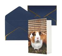 DWVTFSM Biglietto di ringraziamento con buste, biglietti di auguri per tutte le occasioni, buon compleanno, matrimonio, pensiero, porcellini d'India, biglietti vuoti 10 x 15 cm