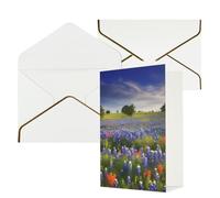 DWVTFSM Biglietto di ringraziamento con buste, biglietti di auguri per tutte le occasioni, buon compleanno, matrimonio, pensando a te, Texas, Bluebonnets, paesaggio, biglietti vuoti, 10 x 15 cm