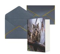 DWVTFSM Biglietto di ringraziamento con buste, biglietti di auguri per tutte le occasioni, buon compleanno, matrimonio, pensando a te, gufo su un ramo, biglietti vuoti 10,2 x 15,2 cm