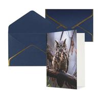DWVTFSM Biglietto di ringraziamento con buste, biglietti di auguri per tutte le occasioni, buon compleanno, matrimonio, pensando a te, gufo su un ramo, biglietti vuoti 10,2 x 15,2 cm