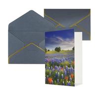 DWVTFSM Biglietto di ringraziamento con buste, biglietti di auguri per tutte le occasioni, buon compleanno, matrimonio, pensando a te, Texas, Bluebonnets, paesaggio, biglietti vuoti, 10 x 15 cm