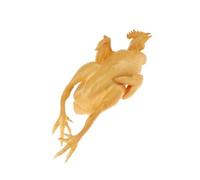dwxnauixl Realistico cibo artificiale in PVC finto pollo arrosto anatra decorazione realistica per la casa o il ristorante , Pollo Arrosto Al Sale