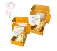 DXBNEZBC My Little Worry Bear Hug in a Box, 2 pezzi, orsetto in una scatola, marrone chiaro e bianco, mini orsetti di peluche ispiratori con biglietto e cappelli, regalo positivo per donne, uomini