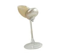 DXEHSEUY Bicchiere da champagne con conchiglie di conchiglia, regalo per champagne, calice unico per donne, uomini, adulti, A, stile A