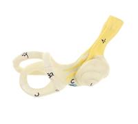 DXEHSEUY Modello cocleare del canale semicircolare dell'orecchio umano dell'ingrandimento 5X anatomico