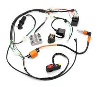 DXHSLH Cablaggio Elettrico for Moto for ATV Quad 150 200 250 300cc Statore CDI Bobina Linea Completa di Montaggio Pezzi di Ricambio Telaio for Cavi