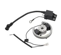 DXHSLH for K-T-M SX 50 Moto Bobina di Accensione Statore Volano Rotore Bobina Kit Magneto Sostituzione Motocross 2000-2013 Mini Moto