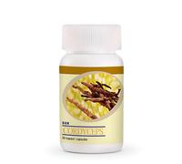 DxN Cordyceps Sinensis Boost Immunity Stamina Strenght Healthy Organic Natural