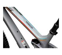 Dyedbro Adesivi Di Protezione Per Telaio Scrub Racing Multicolour